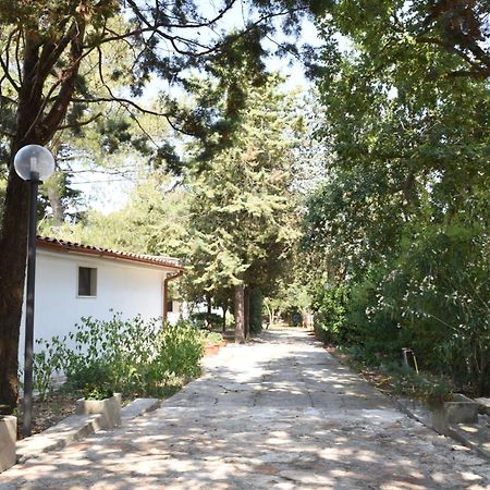 جويا ديل كولي B&B Parco Del Lamione المظهر الخارجي الصورة