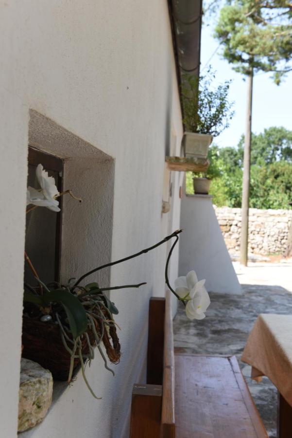 جويا ديل كولي B&B Parco Del Lamione المظهر الخارجي الصورة