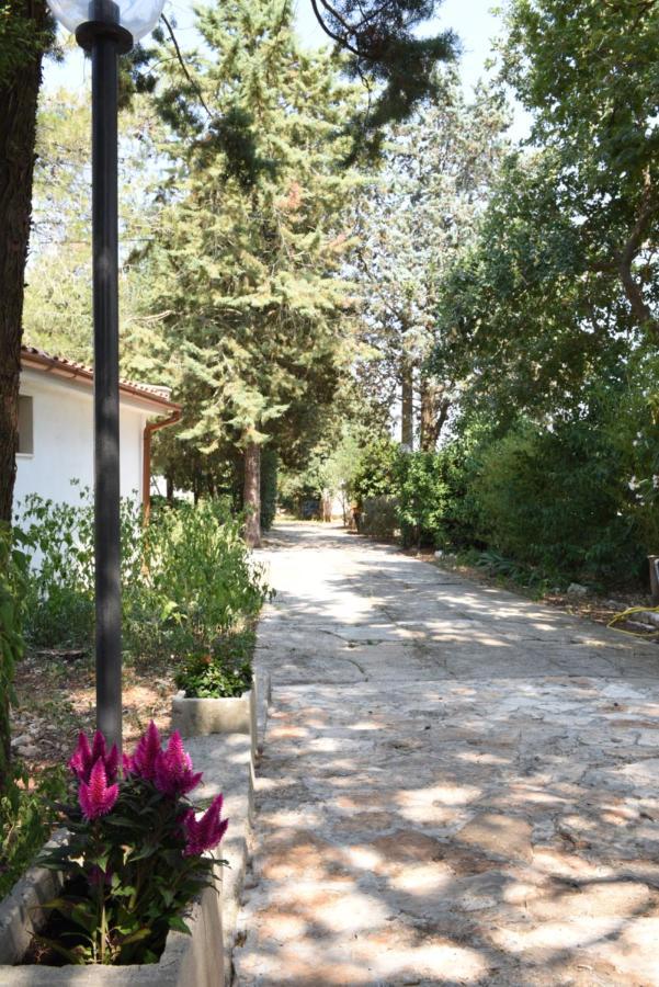 جويا ديل كولي B&B Parco Del Lamione المظهر الخارجي الصورة