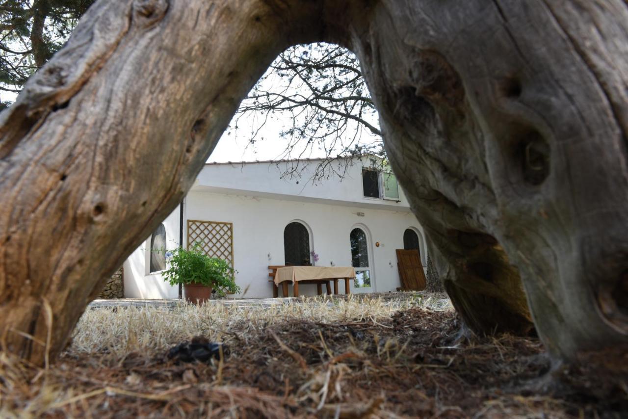 جويا ديل كولي B&B Parco Del Lamione المظهر الخارجي الصورة